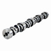 Camshaft - 2008 Chevrolet Silverado 1500 4.8L (PNES5437.C22)
