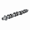 Camshaft - 2004 Ford F-150 5.4L (PNES6250.A1)