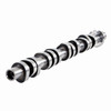 Camshaft - 2004 Ford F-150 5.4L (PNES6250.A1)