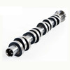 Camshaft - 2004 Ford F-150 5.4L (PNES6251.A2)