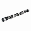 Camshaft - 1986 Chevrolet B60 6.0L (PNES669.D38)