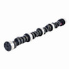 Camshaft - 1995 GMC K2500 5.0L (PNES711.K395)
