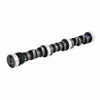 Camshaft - 1994 Pontiac Trans Sport 3.1L (PNES715.K119)