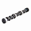 Camshaft - 1994 Pontiac Trans Sport 3.1L (PNES715.K119)