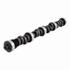 Camshaft - 1990 Ford E-350 Econoline 5.8L (PNES764A.H80)