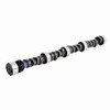 Camshaft - 1985 Oldsmobile Delta 88 5.7L (PNES766.G69)