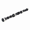 Camshaft - 1989 Ford E-150 Econoline Club Wagon 4.9L (PNES818.K502)