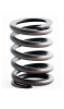 1999 Mercury Sable 3.0L Engine Valve Spring ERV1258 -47