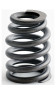 1998 Pontiac Trans Sport 3.4L Engine Valve Spring ERV1265 -66