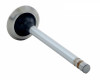Exhaust Valve - 1985 Chevrolet El Camino 4.3L (PNV1923SB.L4351)