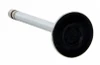 Exhaust Valve - 1988 GMC C2500 4.3L (PNV1923SB.L4675)