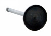 Intake Valve - 1993 Chrysler Imperial 3.8L (PNV2402.C27)