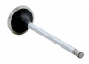 Intake Valve - 2001 Ford Excursion 7.3L (PNV3188.C27)