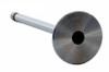 Intake Valve - 2002 Ford E-450 Econoline Super Duty 7.3L (PNV3188B.D31)