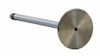 Exhaust Valve - 1994 Ford F-350 7.3L (PNV3191B.A2)