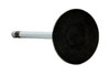 Intake Valve - 2002 Dodge Ram 1500 3.7L (PNV3704.A10)