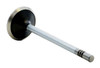 Exhaust Valve - 2003 Dodge Ram 1500 4.7L (PNV3705.B15)