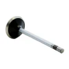 Exhaust Valve - 2004 Dodge Durango 4.7L (PNV3705B.B19)