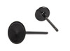 Intake Valve - 2003 Cadillac Escalade 6.0L (PNV4366.H74)