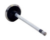 Intake Valve - 2014 Ford F-550 Super Duty 6.8L (PNV4376.K112)