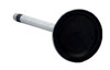 Intake Valve - 2008 Ford F-150 5.4L (PNV4376.E41)