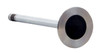 Exhaust Valve - 2008 Pontiac G5 2.4L (PNV4381.G70)