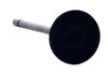Exhaust Valve - 2002 Lincoln LS 3.9L (PNV4385.A7)