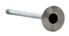 Exhaust Valve - 2007 Chevrolet Aveo 1.6L (PNV4397S.A4)
