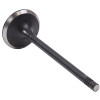 Intake Valve - 2007 Buick Rainier 4.2L (PNV4424.A7)