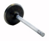 Intake Valve - 2007 Saturn Relay 3.9L (PNV4430.C25)