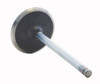 Intake Valve - 2007 Chevrolet W3500 Tiltmaster 6.0L (PNV4450.B14)