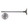 Intake Valve - 2010 Chevrolet Aveo5 1.6L (PNV4494.A8)