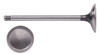 Exhaust Valve - 2011 Ford F-150 6.2L (PNV4495.A2)