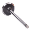 Exhaust Valve - 2011 Ford F-150 6.2L (PNV4495.A2)