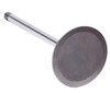 Intake Valve - 2013 Ford F-150 6.2L (PNV4496.A8)