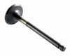 Exhaust Valve - 2011 Lincoln MKS 3.7L (PNV4499.E43)