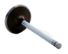 Intake Valve - 2006 GMC Yukon XL 2500 8.1L (PNV8100.E48)
