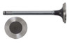 Exhaust Valve - 1989 Chevrolet Celebrity 2.5L (PNV9151.A4)