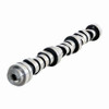 2011 Jeep Wrangler 3.8L Engine Camshaft (Stock Replacement) PN-ES1061-19