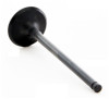 2004 Kia Rio 1.6L Engine Intake Valve IM1004 -2