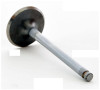 1985 Isuzu Impulse 1.9L Engine Intake Valve IM1870 -7