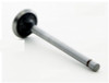 1990 Toyota Tercel 1.5L Engine Intake Valve IM2512 -5