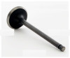 1988 Nissan Pulsar NX 1.6L Engine Intake Valve IM2518 -13