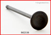 1989 Honda Accord 2.0L Engine Intake Valve IM2538 -20