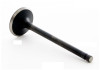 1995 Honda Prelude 2.3L Engine Intake Valve IM2764 -6