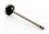 1989 Nissan Pulsar NX 1.6L Engine Intake Valve IM2780 -1