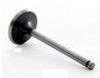 1994 Isuzu Amigo 2.6L Engine Intake Valve IM2802 -22