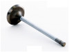 1993 Isuzu Trooper 3.2L Engine Intake Valve IM2806 -2