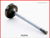 1994 Isuzu Trooper 3.2L Engine Intake Valve IM2806 -3