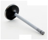 1994 Ford Escort 1.8L Engine Intake Valve IM2830 -11